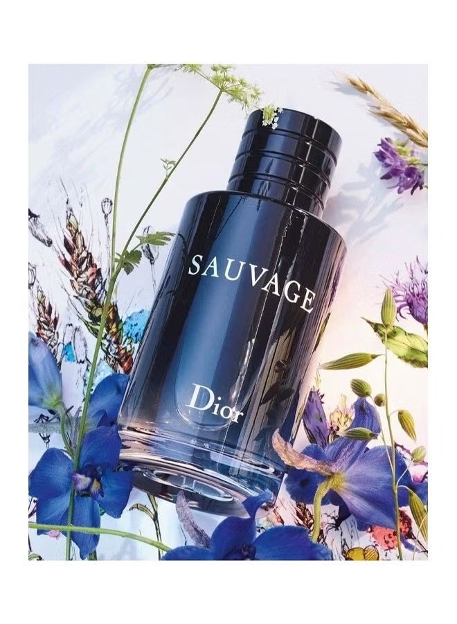 Bernard Dior Sauvage Eau de Toilette 100ml - Image 3